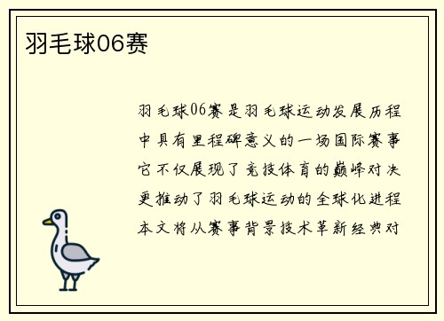 羽毛球06赛