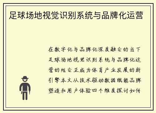 足球场地视觉识别系统与品牌化运营