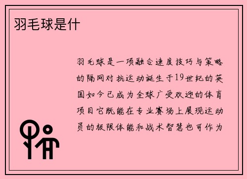 羽毛球是什